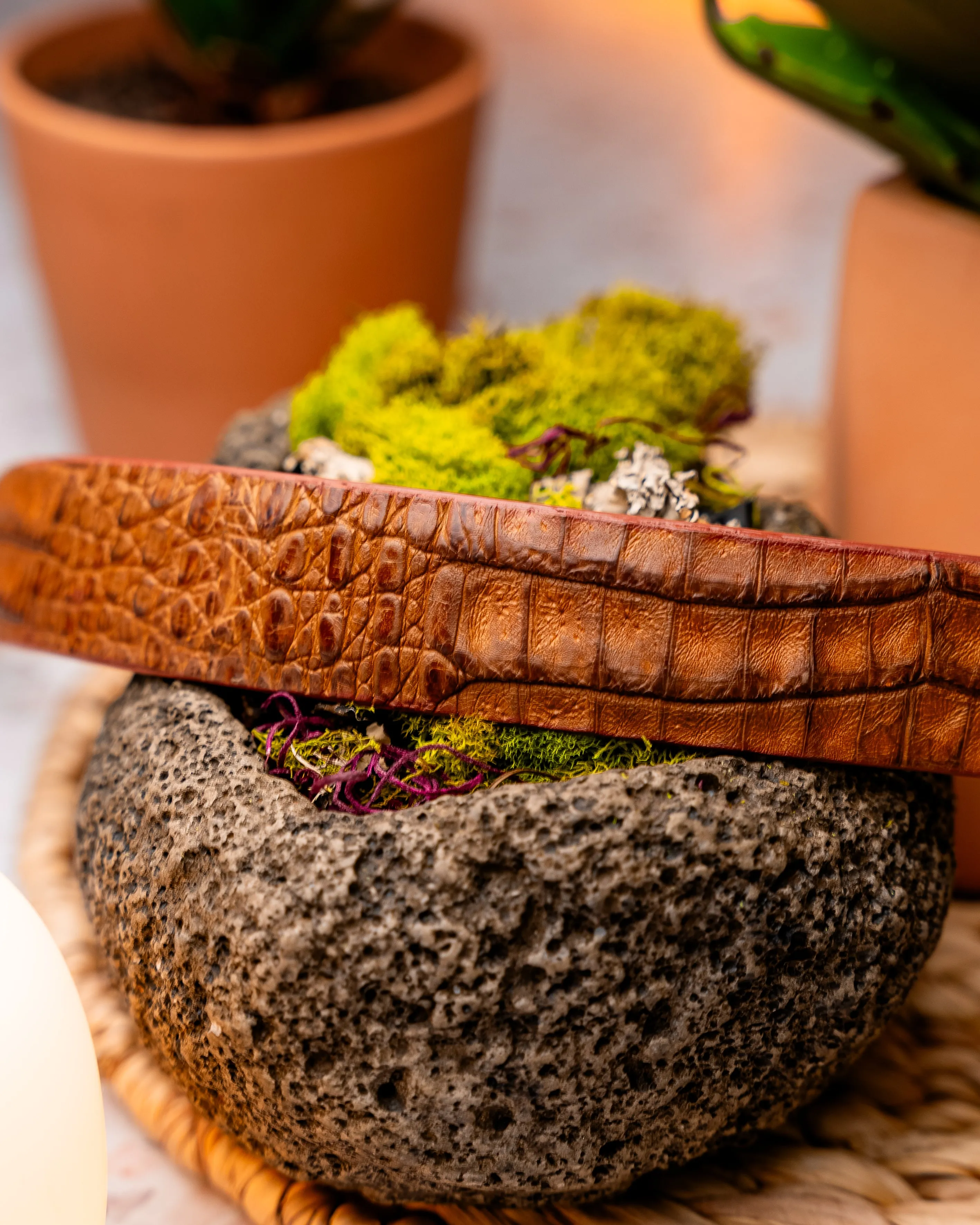 BELTS-FLANK YACAREI | MARCO DI MILANO