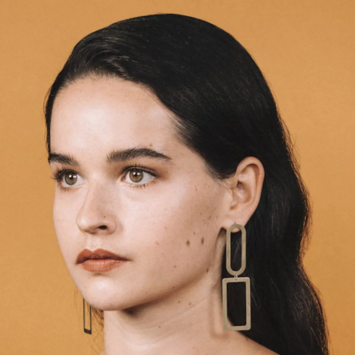 Elongated Shape Earrings