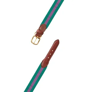 Green & Purple Grosgrain Ribbon Dog Collar
