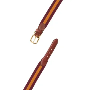 Maroon & Orange Grosgrain Ribbon Dog Collar