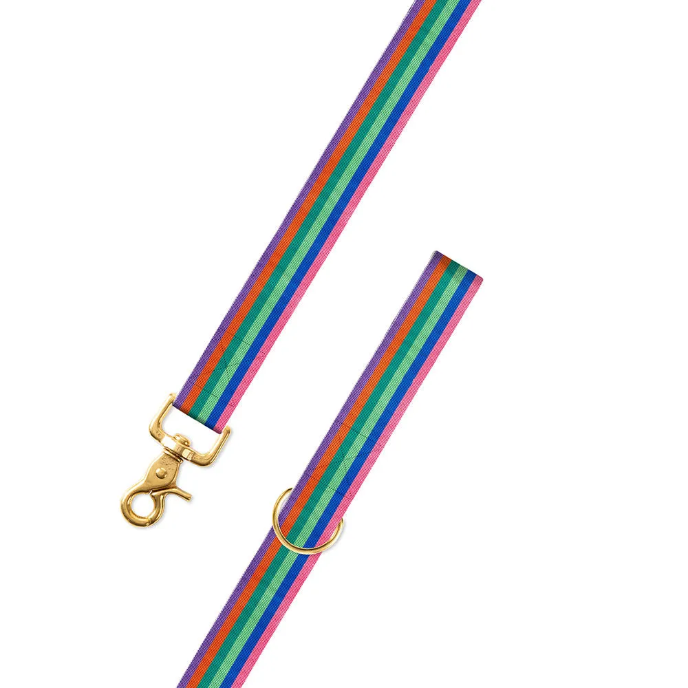 Multicolored Grosgrain Ribbon Dog Leash